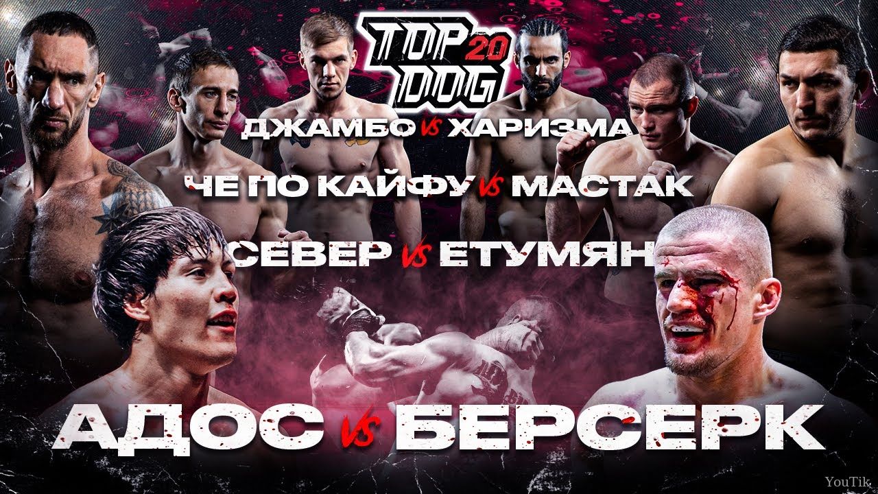 TOP DOG 20 выпуск от 08.06.23