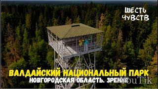 Новгород. Зрение. Шесть чувств. Эфир от 02.07.23